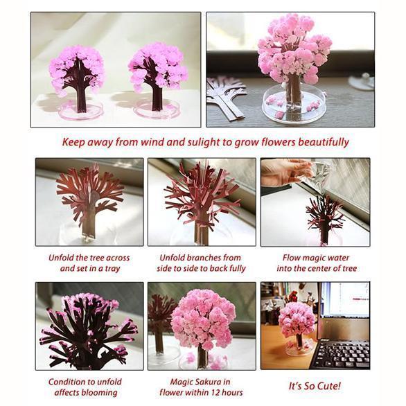 Magic Cherry Blossom Tree - DIY Growing Paper Tree Decoration