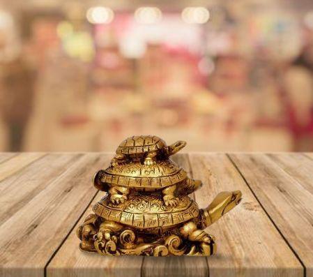 Three Tiered Turtle Tortoise