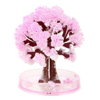 Magic Cherry Blossom Tree - DIY Growing Paper Tree Decoration