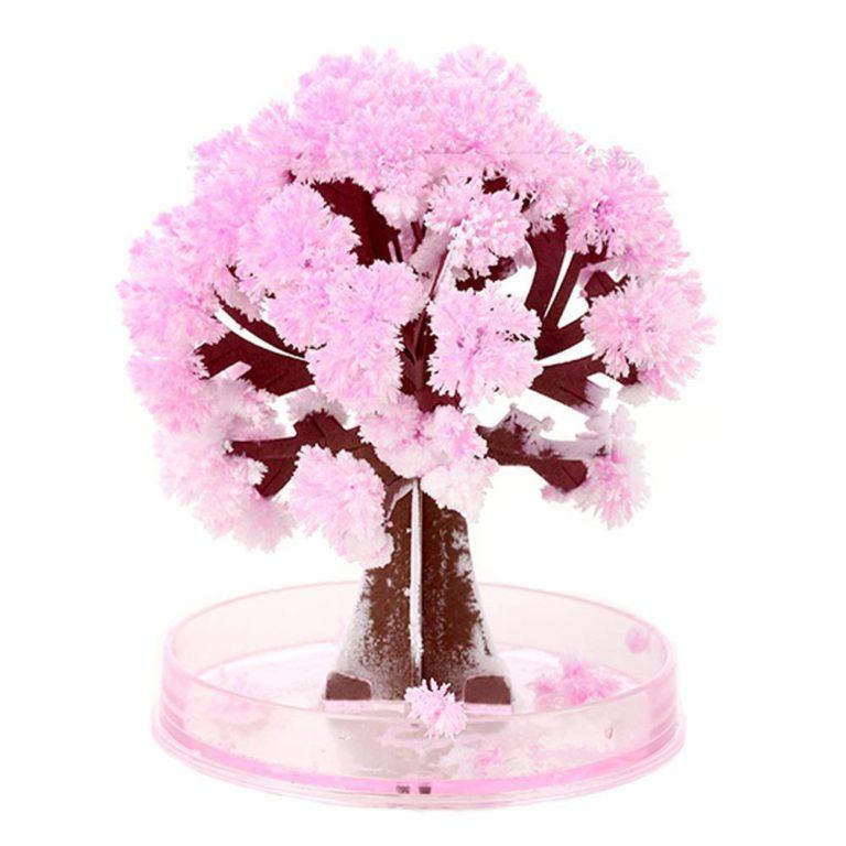 Magic Cherry Blossom Tree - DIY Growing Paper Tree Decoration