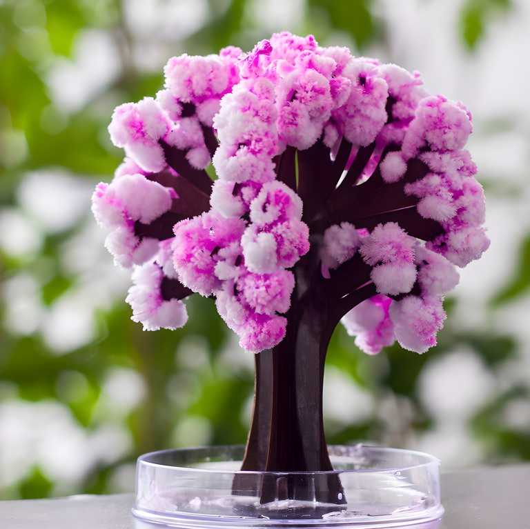 Magic Cherry Blossom Tree - DIY Growing Paper Tree Decoration