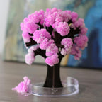 Magic Cherry Blossom Tree - DIY Growing Paper Tree Decoration
