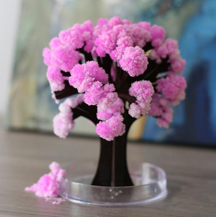 Magic Cherry Blossom Tree - DIY Growing Paper Tree Decoration