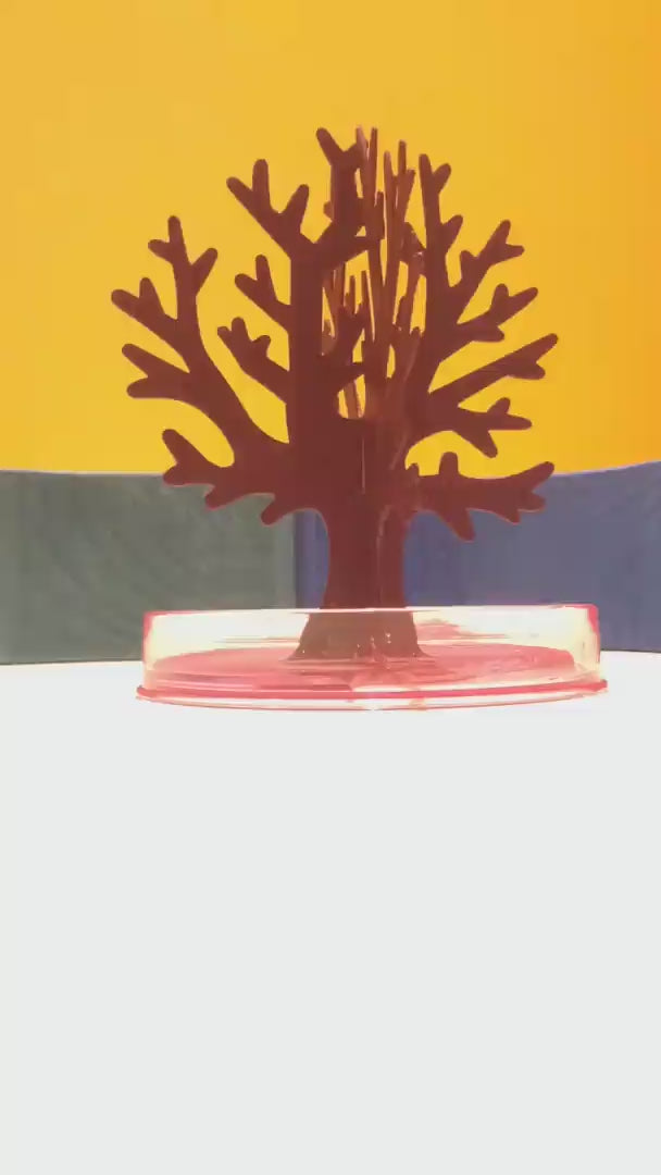 Magic Cherry Blossom Tree - DIY Growing Paper Tree Decoration