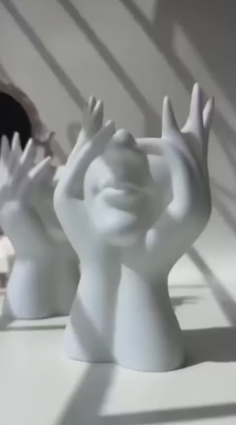 Aesthetic Face Vase