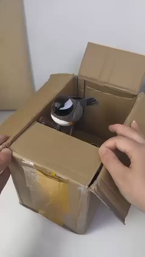 Birds Can Move - Pen Holders